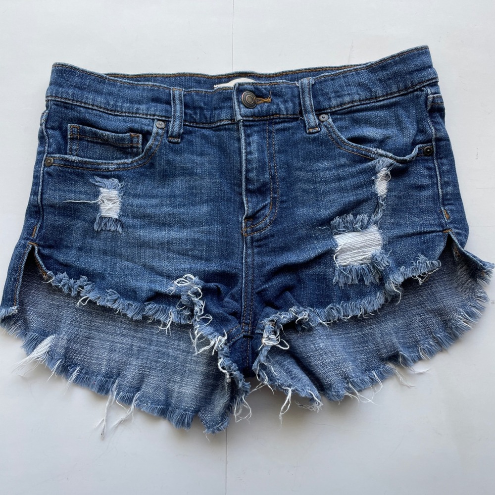 Eunina Blue Distressed Jean Shorts